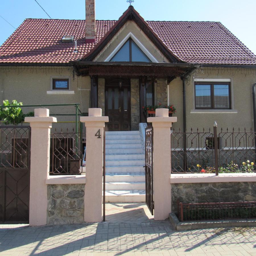Vila Coca Sălişte Exterior foto