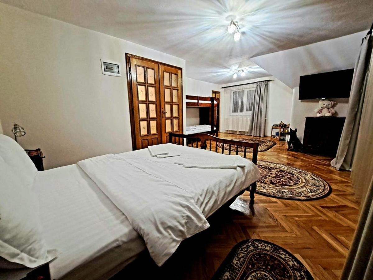 Vila Coca Sălişte Exterior foto